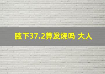 腋下37.2算发烧吗 大人